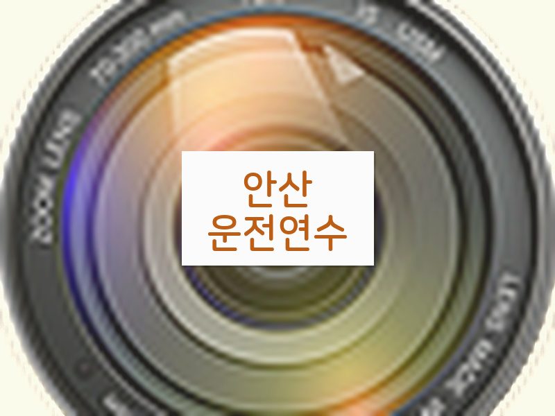 안산운전연수 후기