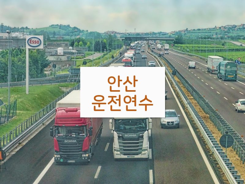 안산운전연수 후기