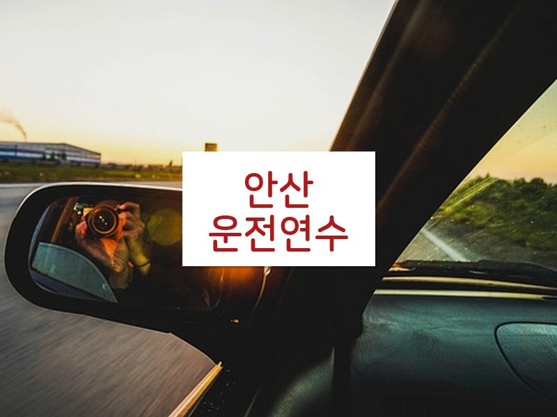 안산운전연수 후기