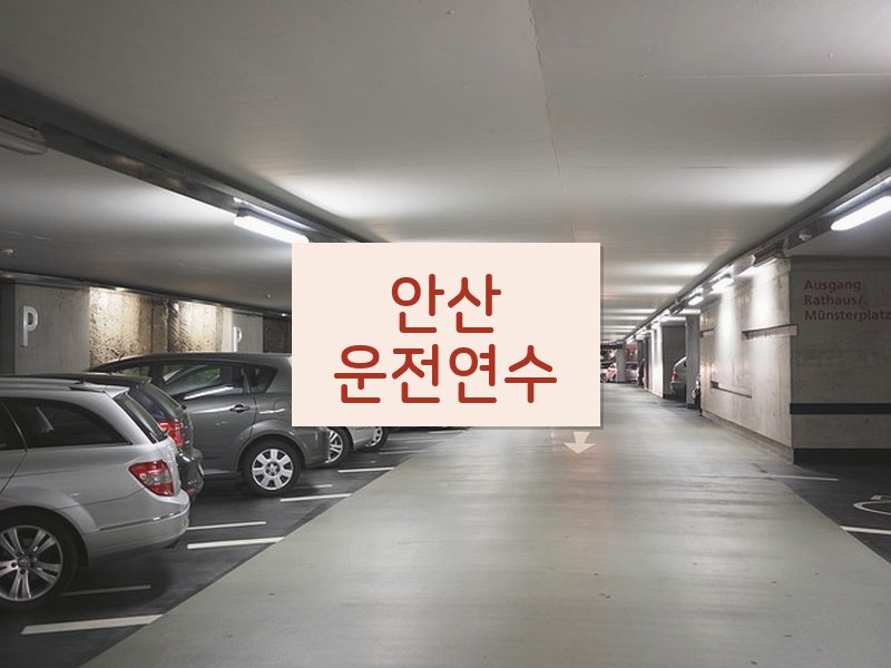 안산운전연수 후기