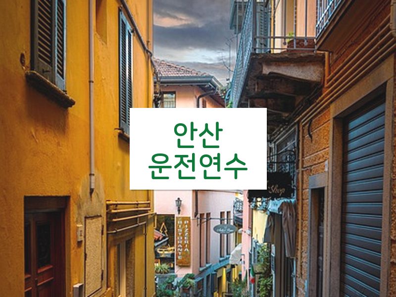 안산운전연수 후기