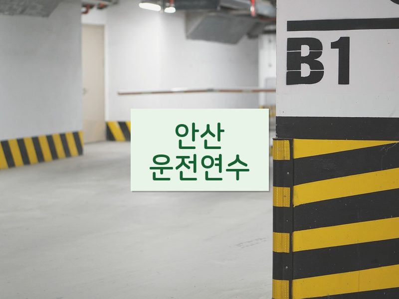 안산운전연수 후기