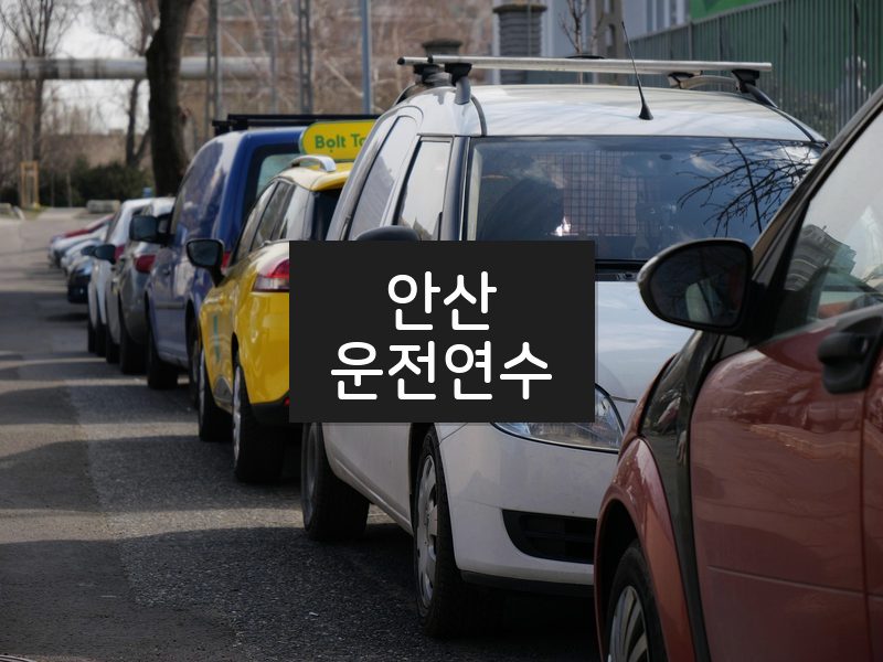 안산운전연수 후기