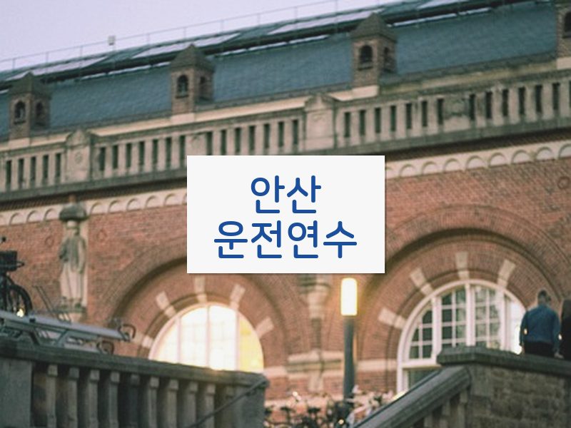 안산운전연수 후기