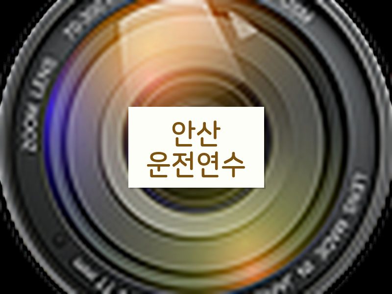 안산운전연수 후기