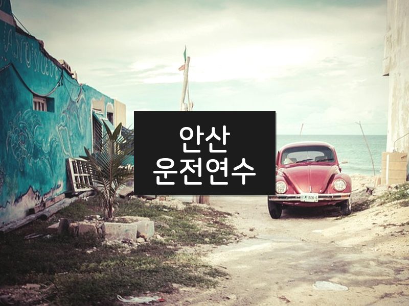 안산운전연수 후기