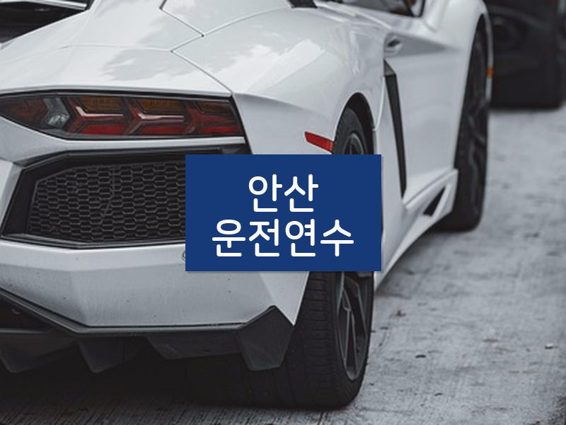 안산운전연수 후기