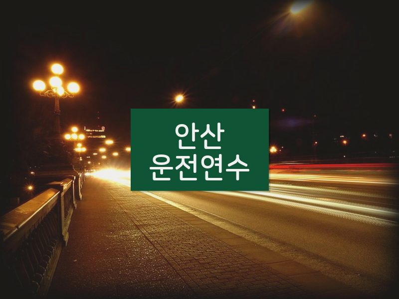 안산운전연수 후기