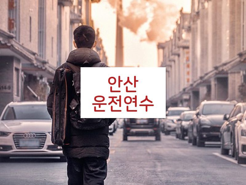 안산운전연수 후기