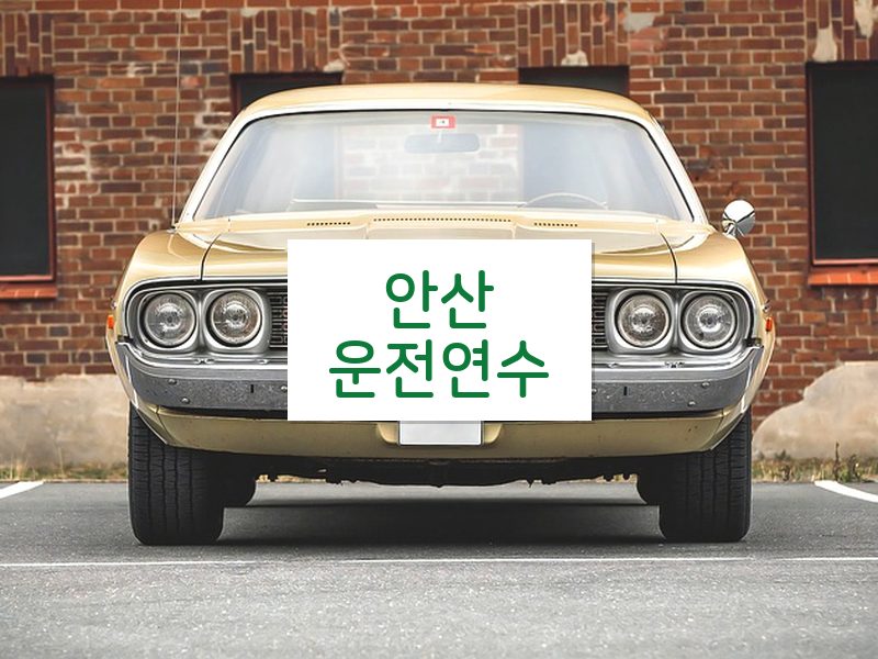 안산운전연수 후기