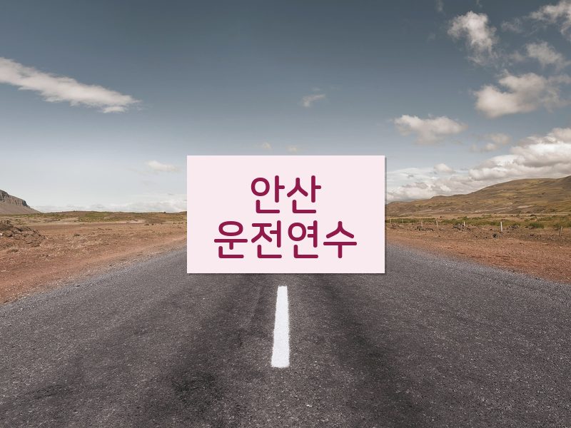 안산운전연수 후기