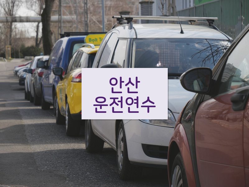 안산운전연수 후기