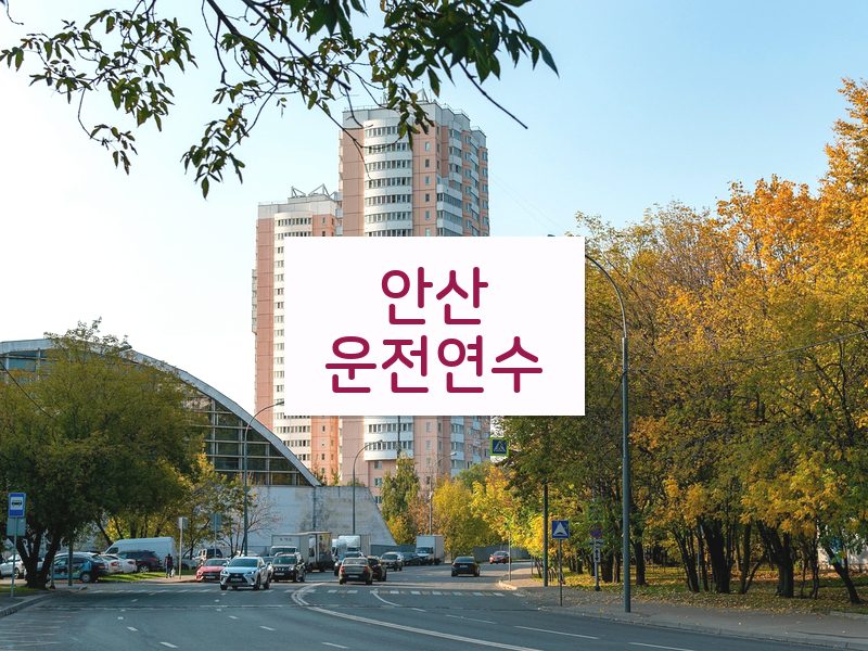 안산운전연수 후기