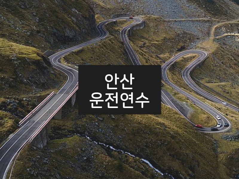 안산운전연수 후기