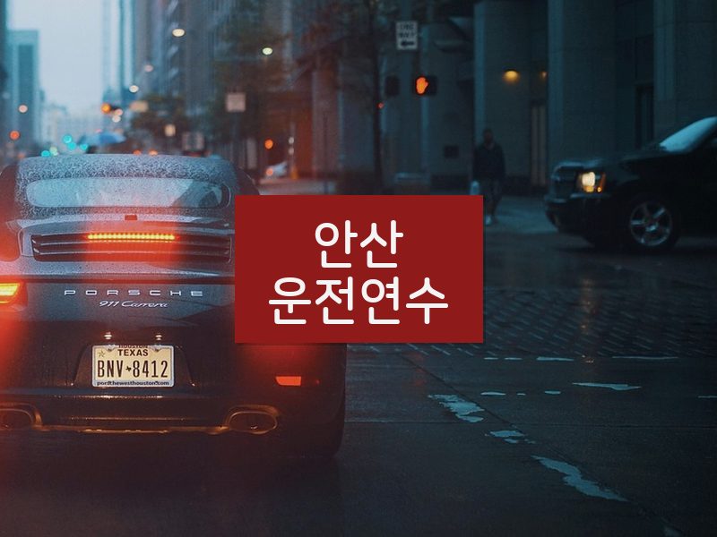 안산운전연수 후기