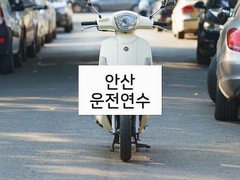 안산운전연수 후기
