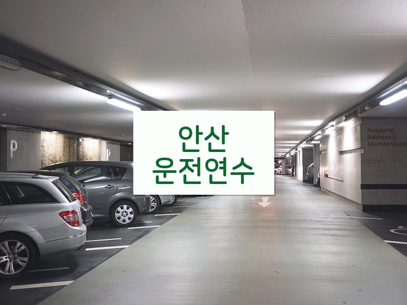 안산운전연수 후기