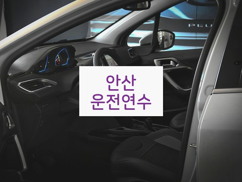 안산운전연수 후기