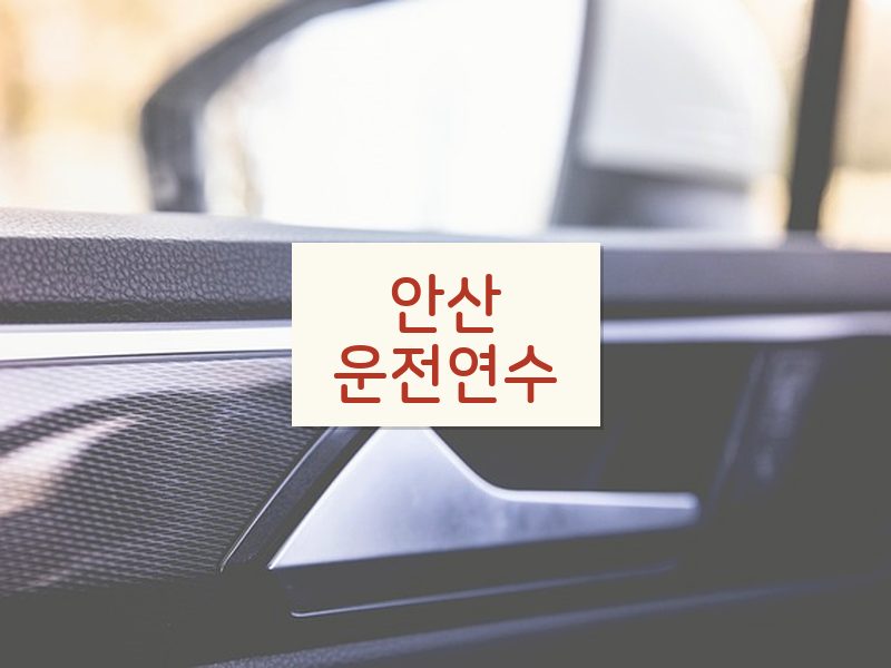 안산운전연수 후기