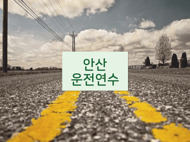 안산운전연수 후기