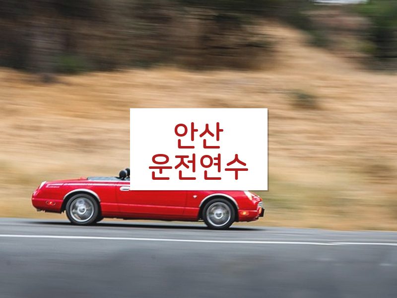 안산운전연수 후기