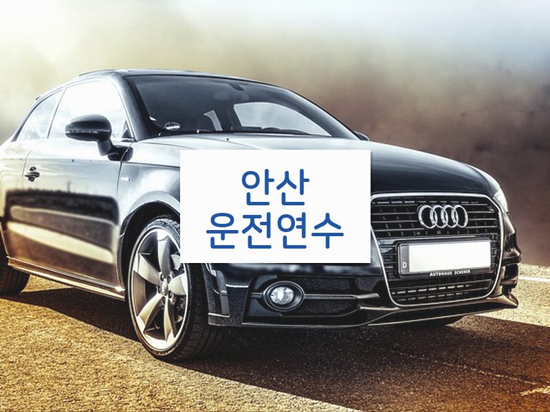 안산운전연수 후기