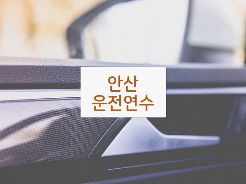 안산운전연수 후기