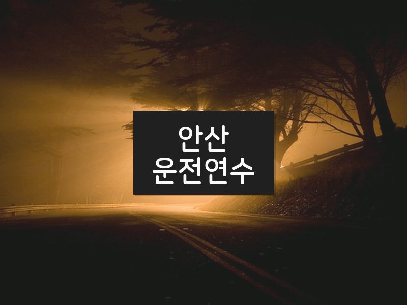 안산운전연수 후기