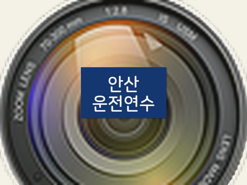 안산운전연수 후기