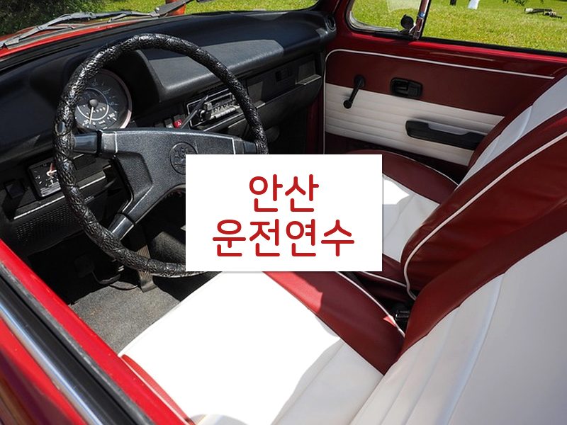 안산운전연수 후기