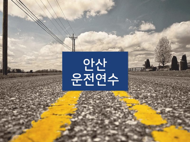 안산운전연수 후기