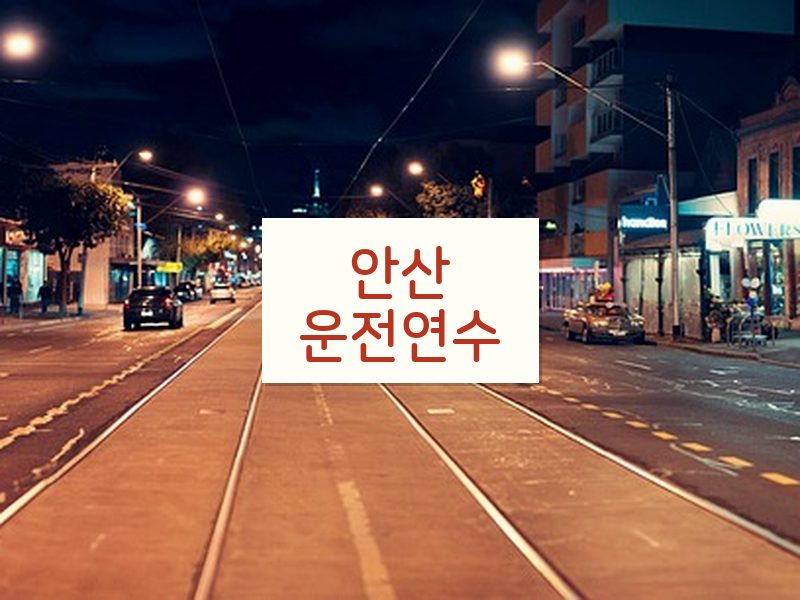 안산운전연수 후기