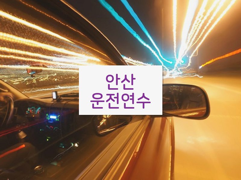 안산운전연수 후기