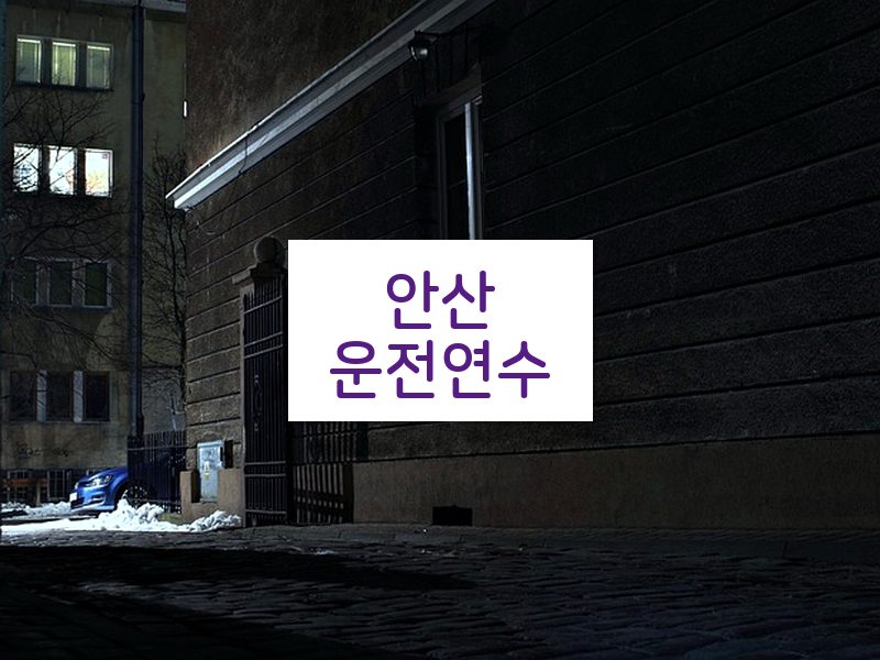 안산운전연수 후기