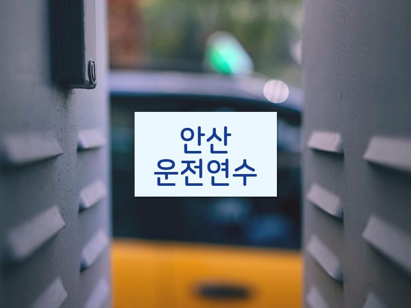 안산운전연수 후기