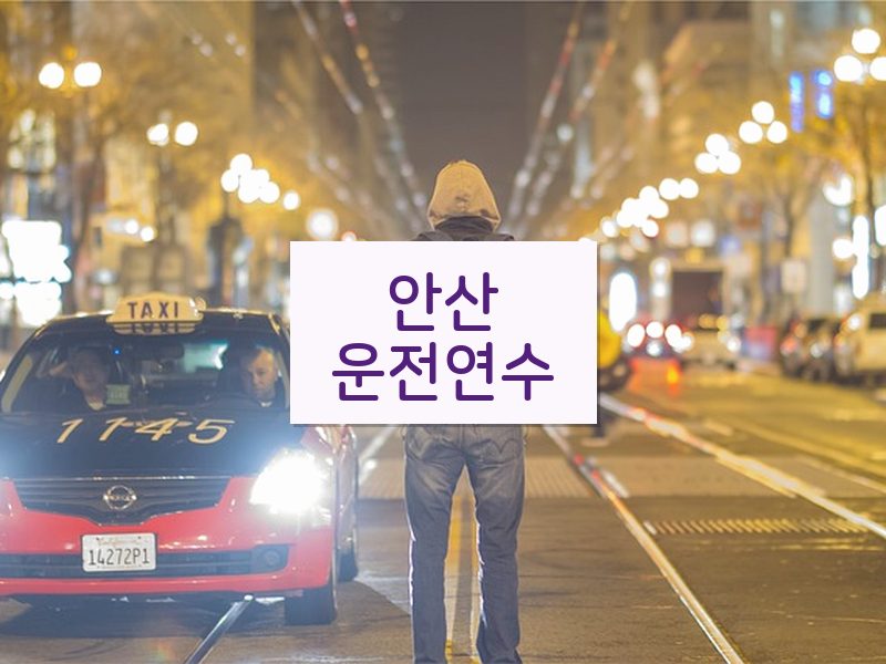 안산운전연수 후기