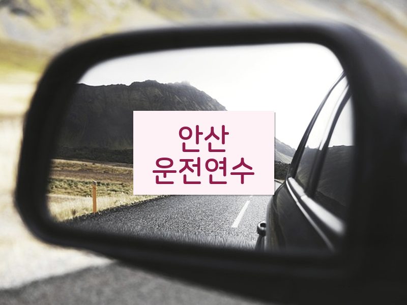 안산운전연수 후기