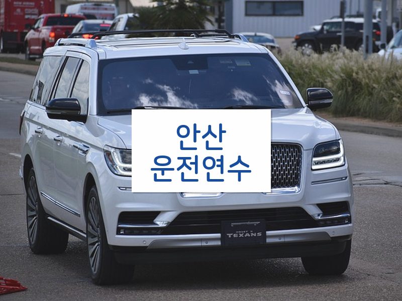 안산운전연수 후기