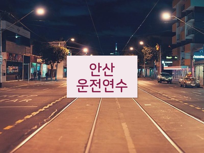 안산운전연수 후기