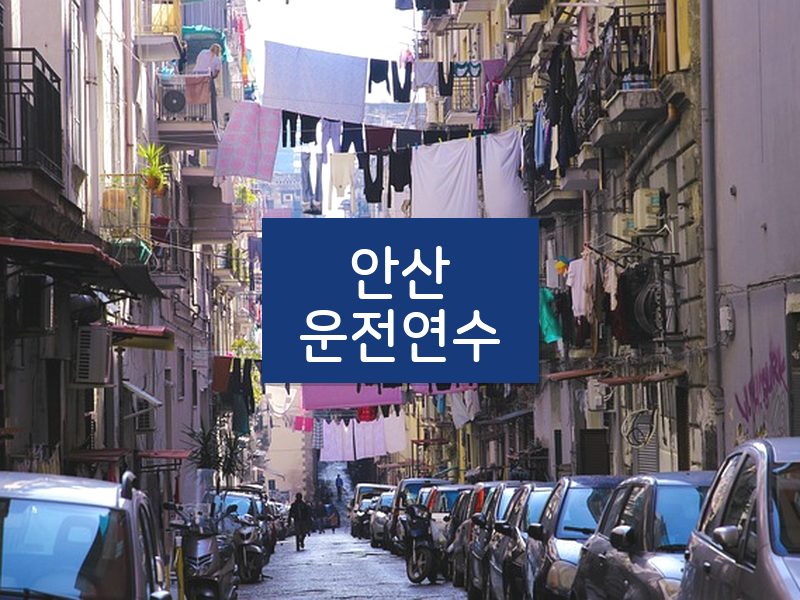 안산운전연수 후기
