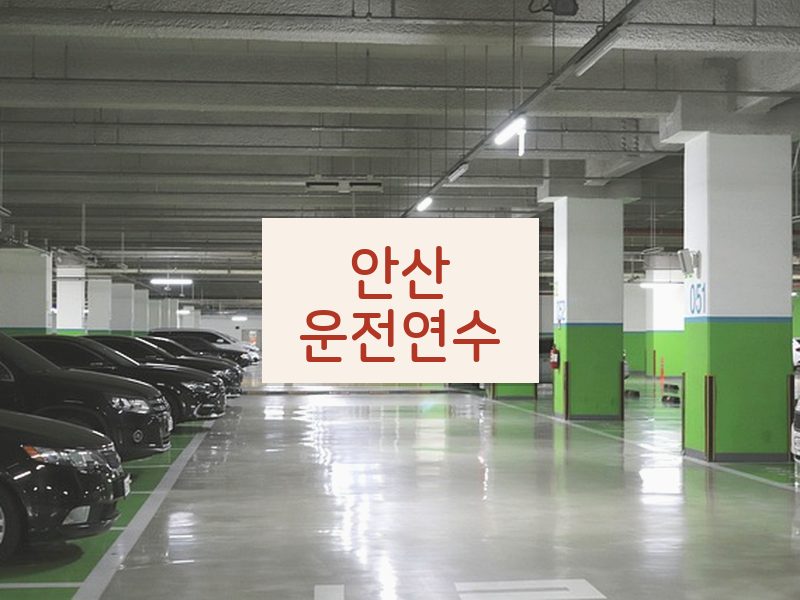 안산운전연수 후기