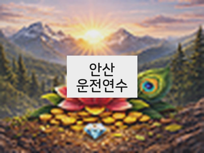안산운전연수 후기