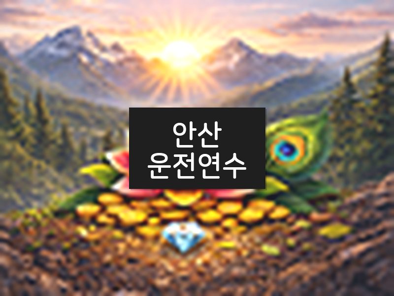 안산운전연수 후기