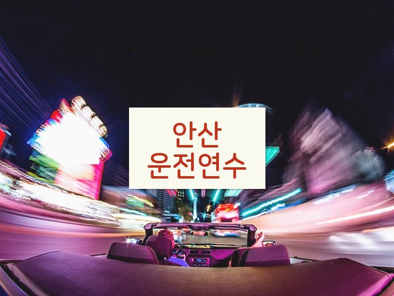 안산운전연수 후기