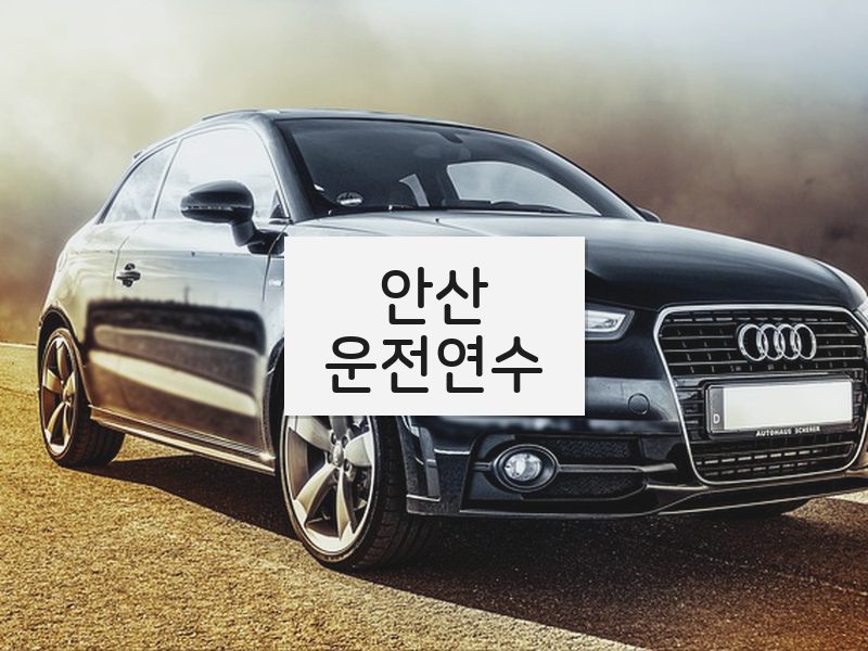 안산운전연수 후기