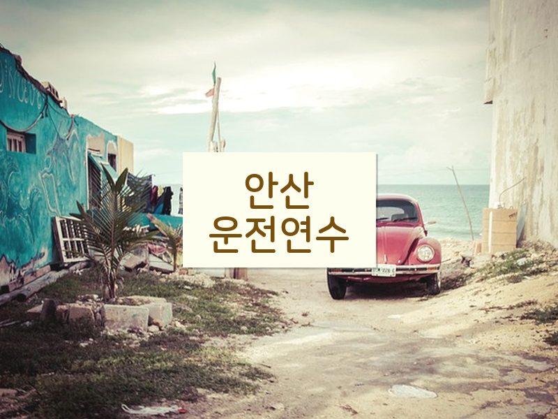안산운전연수 후기