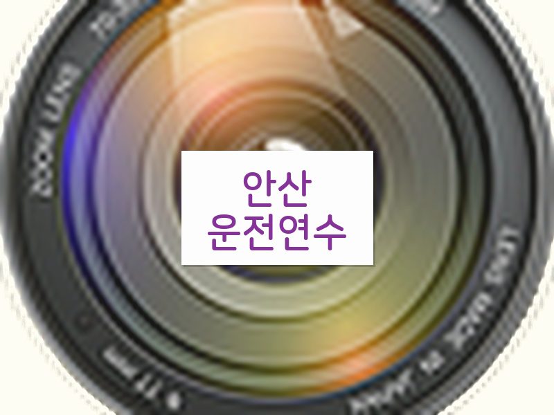 안산운전연수 후기