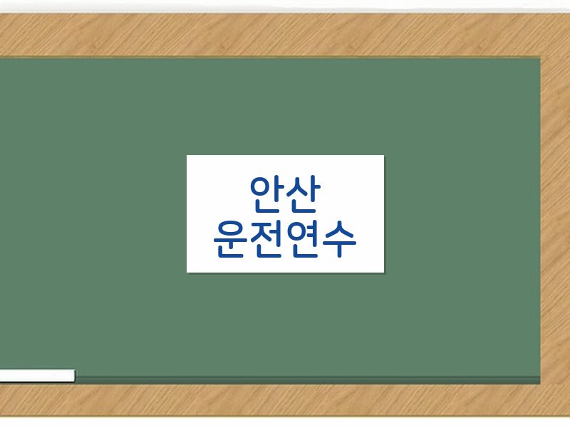 안산운전연수 후기