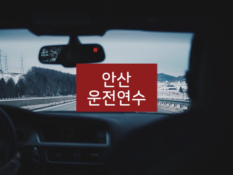 안산운전연수 후기