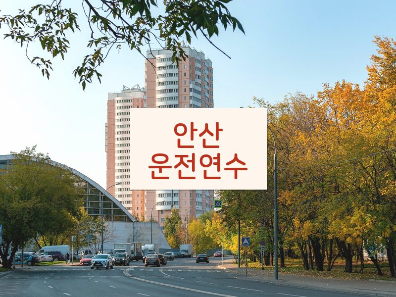 안산운전연수 후기